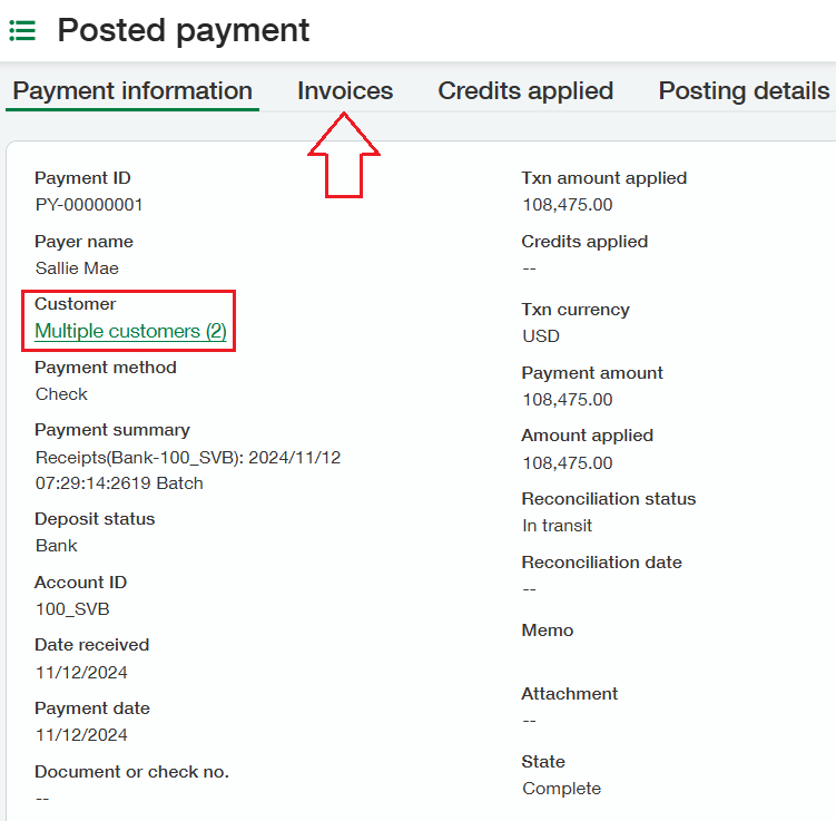 Posted Payments Information Example